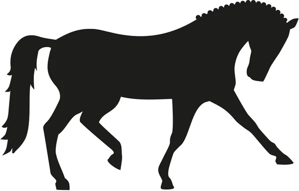 Dressuur paard vector — Stockvector