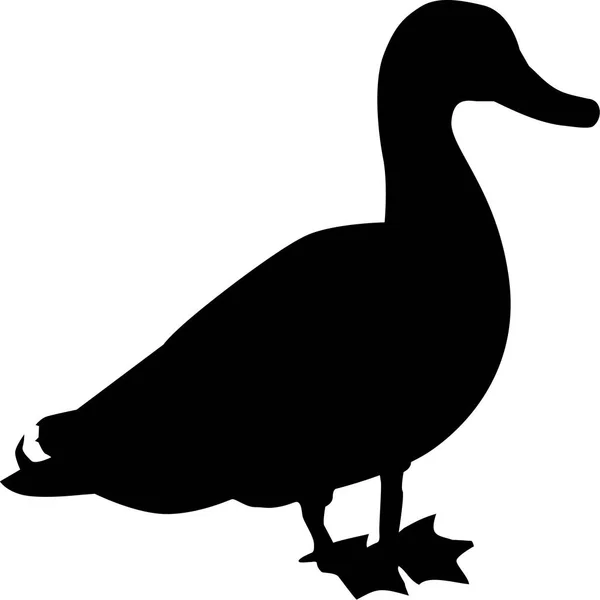 Silueta de pato real — Vector de stock