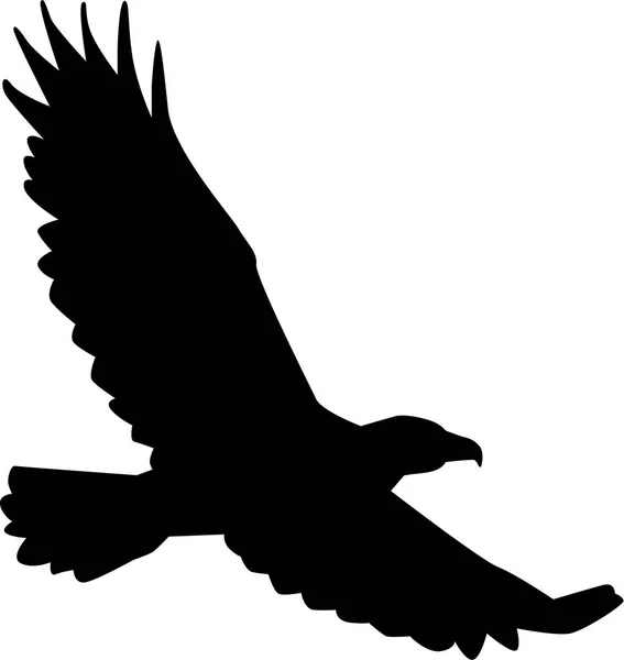 Silueta de águila volando — Vector de stock