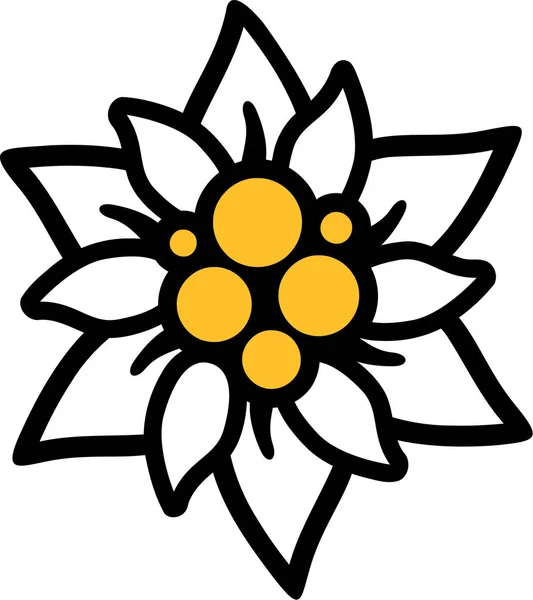 Edelweiss bloem vector — Stockvector