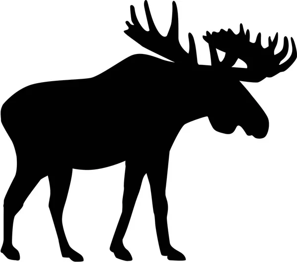 Moose silhouet vector — Stockvector