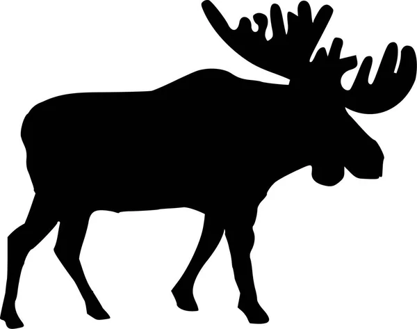Skutečné moose silueta — Stockový vektor