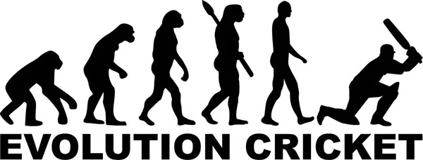 クリケットの進化ベクトル — ストックベクタ
