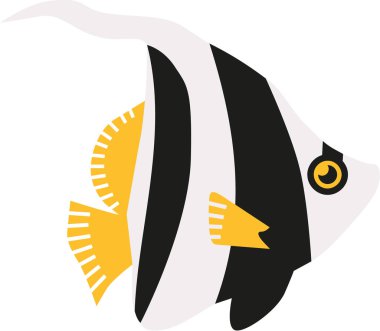 Flama coralfish butterflyfish