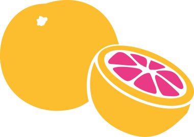 Dilimlenmiş Greyfurt vektör