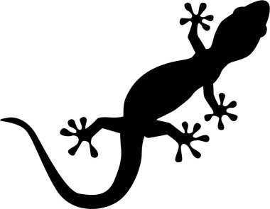 Gecko siluet vektör
