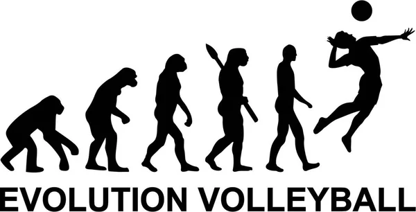 Вектор эволюции волейбола — стоковый вектор