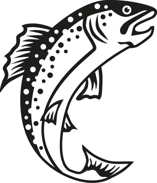 マス魚ベクトル — ストックベクタ