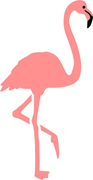 Flamingo rosa real — Vetor de Stock