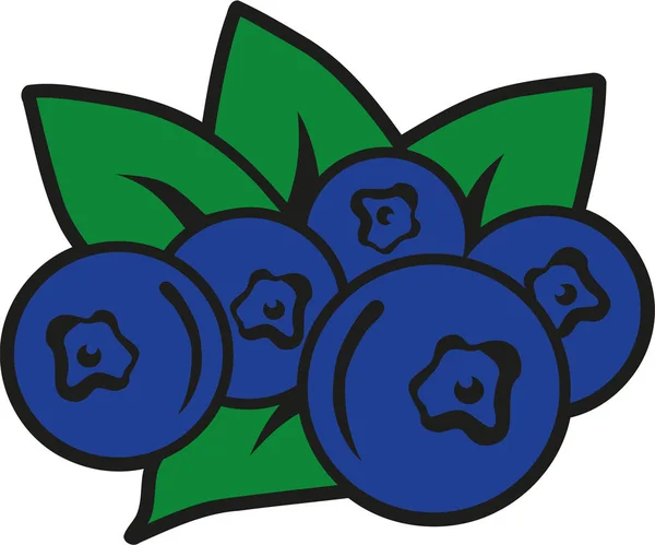 蓝莓与绿色的树叶 — 图库矢量图片