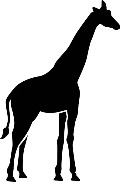 Silhouette girafe réelle — Image vectorielle