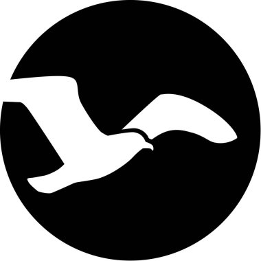 Ay önünde uçan martı