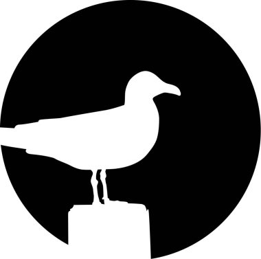 Bir ahşap direğe oturan martı