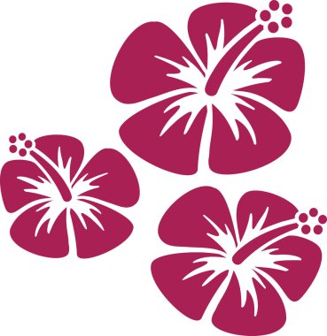 Hibiscus Çift Kişilik kutsal kişilerin resmi