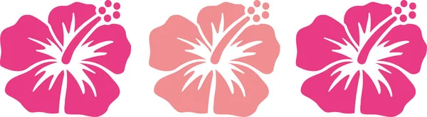 ピンクの色合いでハイビスカスの花 — ストックベクタ