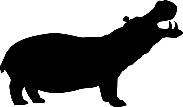 Hippopotamus vector design — Stock Vector