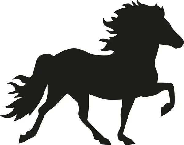 IJsland paard silhouet — Stockvector