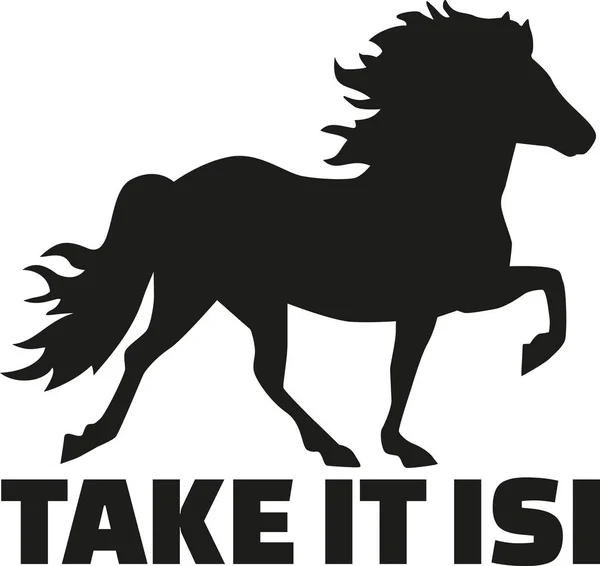Island koně - vzít to isi — Stockový vektor