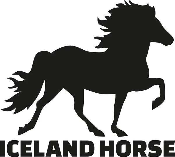 Islandia caballo vector — Archivo Imágenes Vectoriales