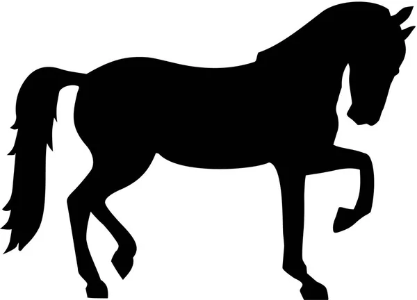 Paard silhouet vector — Stockvector