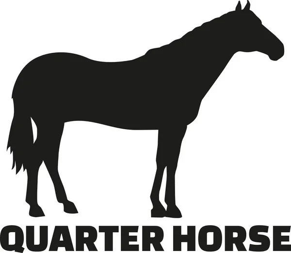 Quarter Horse vektor — Stock Vector