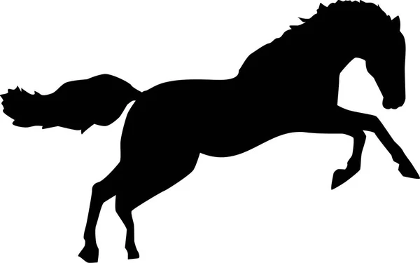 Wild horse jumping bronco — Stock Vector
