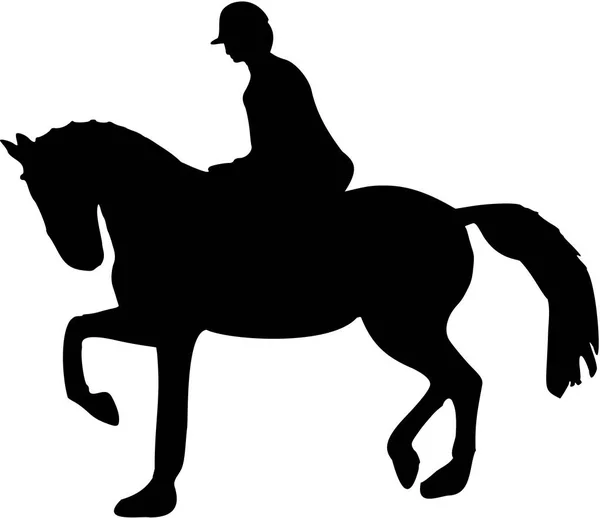 Horse rider silhouet — Stockvector