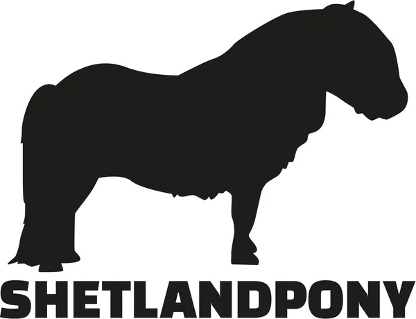Shetland pony vector — Stockvector