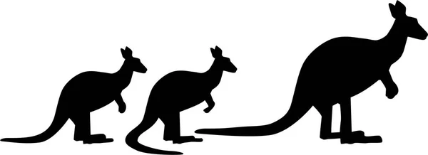 Kangaroo familiy vector — Stockový vektor