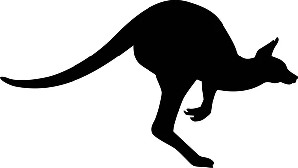 Kangoeroe silhouet vector — Stockvector