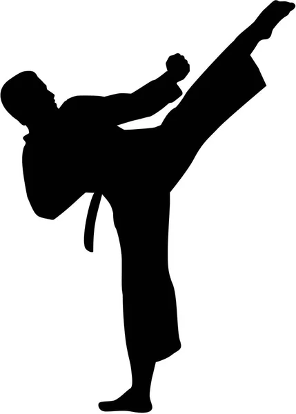 Karate savaşçı siluet — Stok Vektör