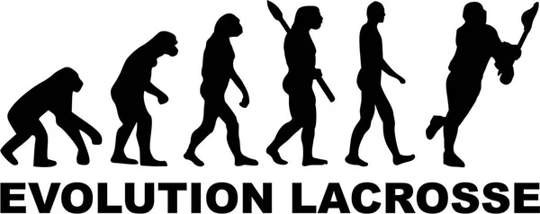 Evoluzione Vettore del lacrosse — Vettoriale Stock