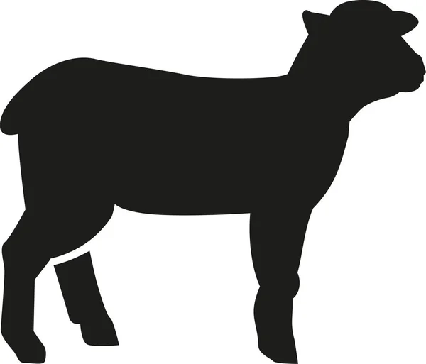 Lamb sylwetka wektor — Wektor stockowy