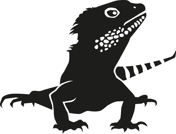 鬣蜥详细的矢量 — 图库矢量图片