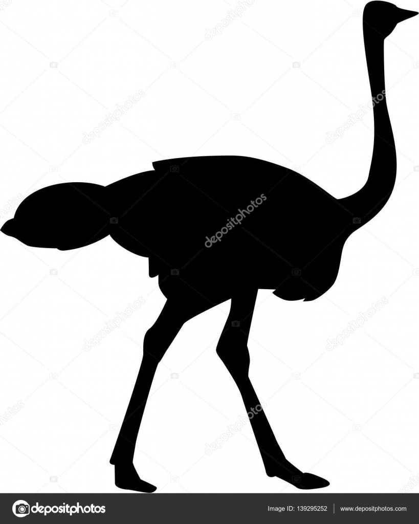 Download Ostrich silhouette vector — Stock Vector © miceking #139295252