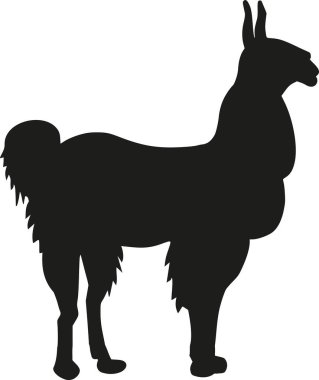 Alpaka siluet vektör