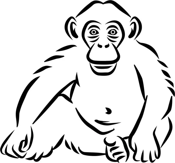 Sitzendes Schimpansenbaby von Hand gezeichnet — Stockvektor