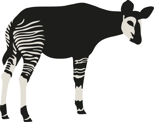 Desenho vetorial Okapi — Vetor de Stock