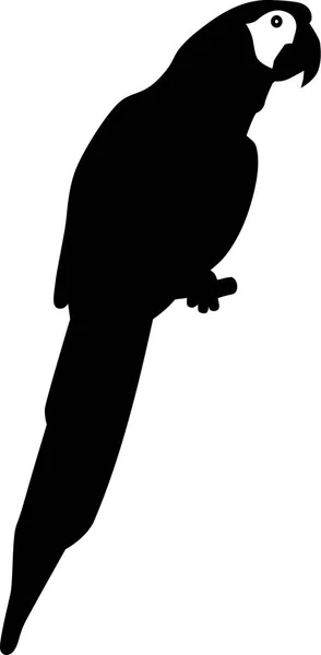Папуга силует вектор — стоковий вектор