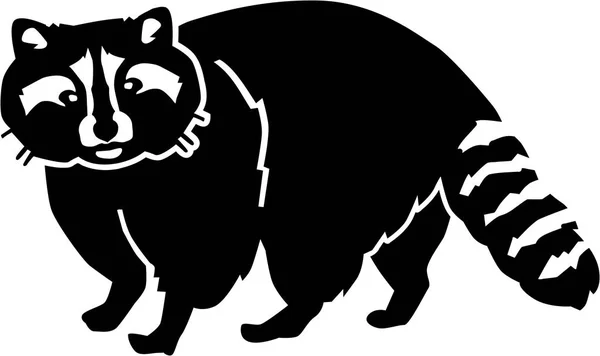 Raccoon silhouette vector — Stock Vector