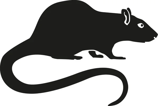 Ratte mit langem Schwanz — Stockvektor