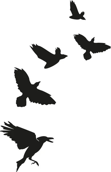 Flock of crows ravens — Stock Vector