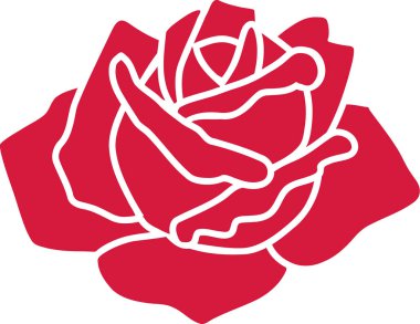 Vektör çiçek gül