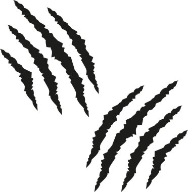 Pençe çizik izleri