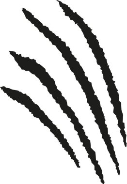 hayvan kaşıma pençeleri 