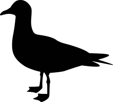 Martı siluet vektör