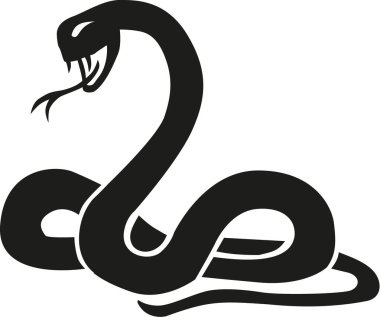 Agresif yılan ısırmaya hazır