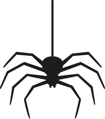 Bir iş parçacığı üzerinde asılı örümcek