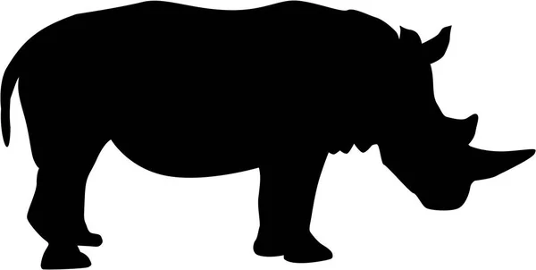 Rinoceronte vetor silhueta — Vetor de Stock