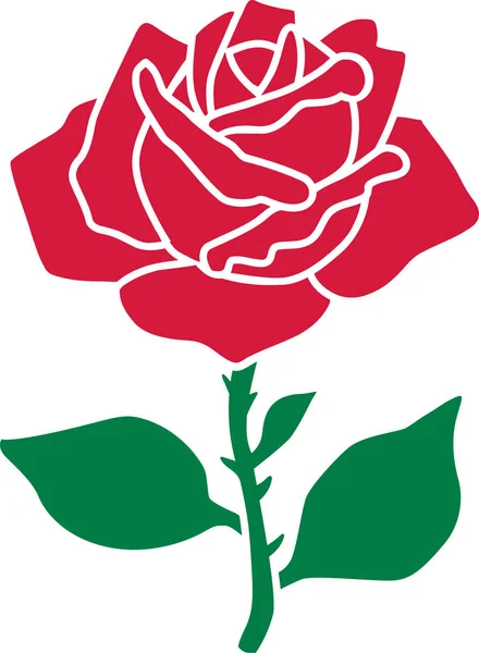 Romantische Rosenblüte — Stockvektor